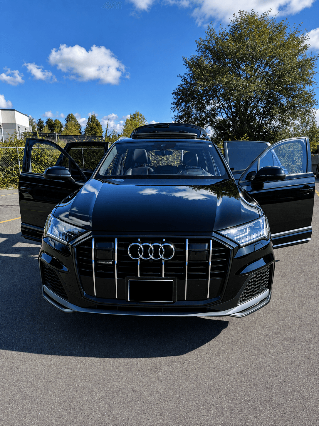 2020 Audi Q7, photo 1